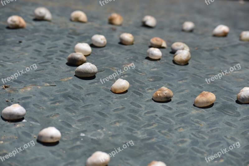 Beach Stone Body Of Water Nature Rock