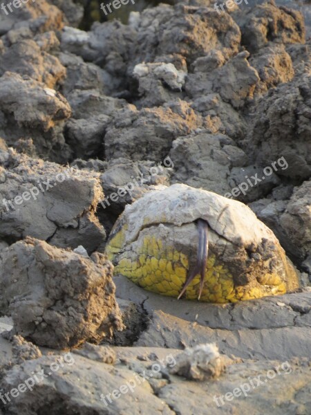 Nature Rock Stone Water Outdoors