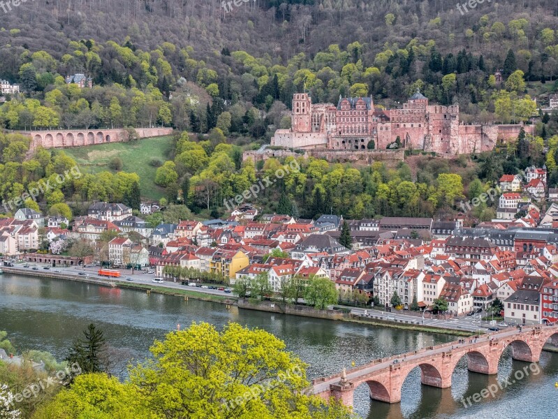 Heidelberg Heidelberger Schloss Historical City Free Photos