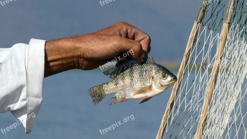 Waters Sky Fisherman Inle Lake Myanmar