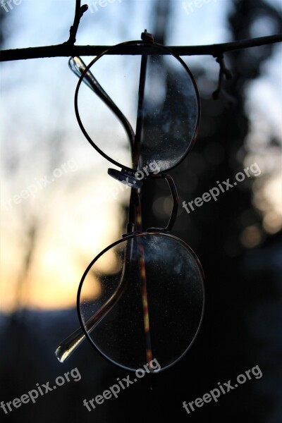 Glasses Retro Vintage Forest Lenses