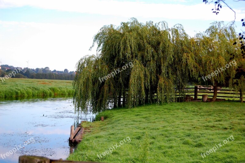 Nature Grass Waters Tree Landscape