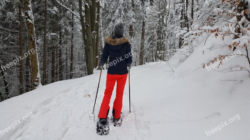 Snow Winter Cold Snowshoeing Hiking