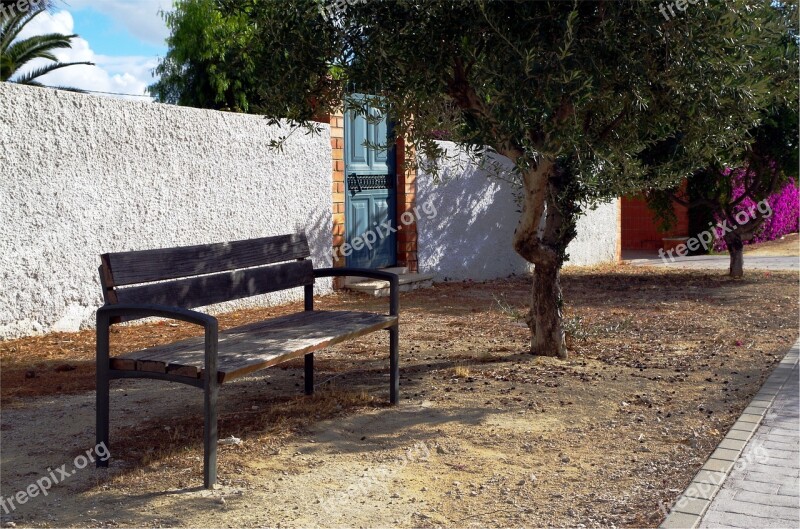 Tree Bench Wood Free Photos