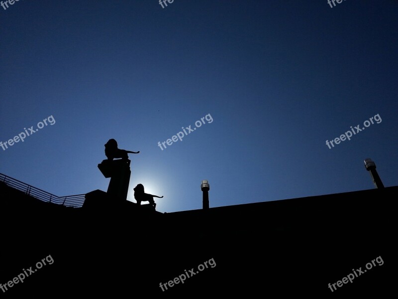 Silhouette People Sky Sunset Outdoors