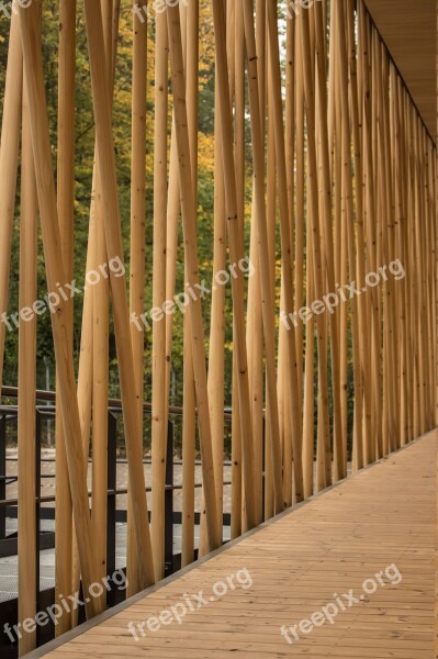 Wood Fence Woods Background Structure