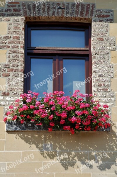 Window House Architecture Flower Pot Geranium