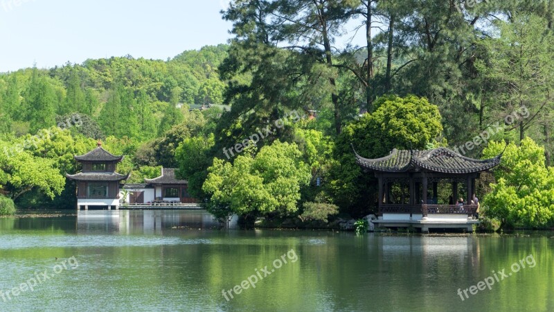 Nature Waters Wood Tree Summer