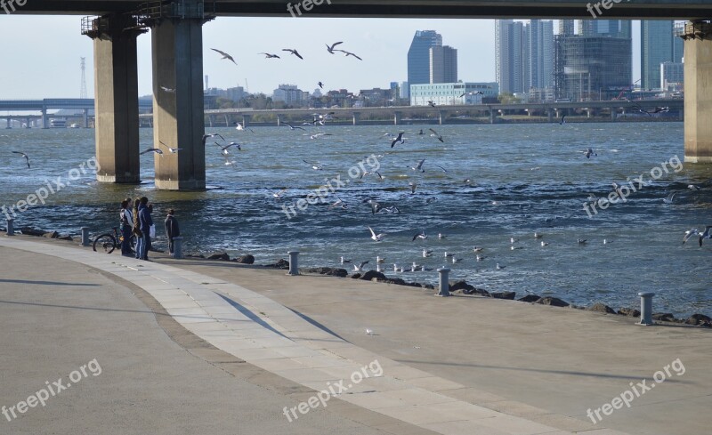 Water Sea Outdoors Travel Pier