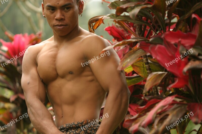 Body Builder Bali Free Photos