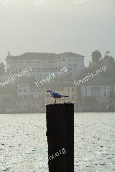 Piemonte Lake Orta Free Photos