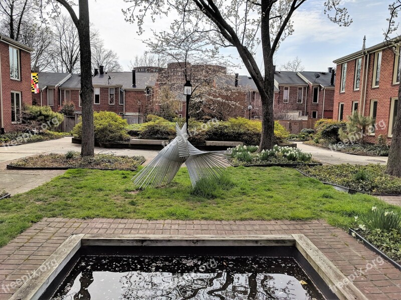 Atrium Park Bolton Hill Baltimore Garden Outdoors