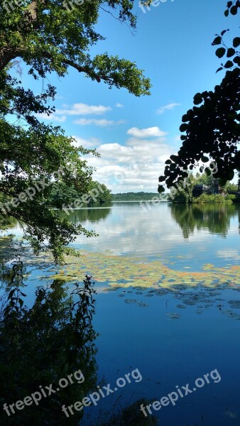 Eutin Eutiner Lake Mecklenburg Nature Tree