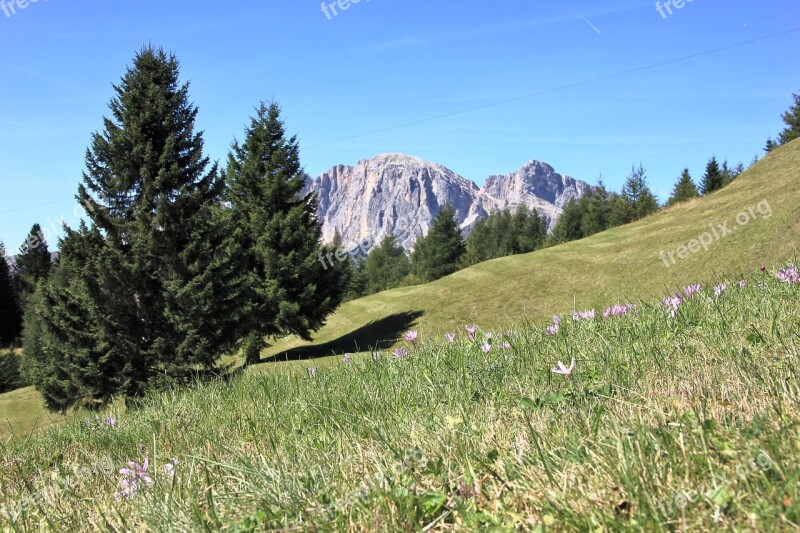 Landscape Nature Tree Grass Mountain