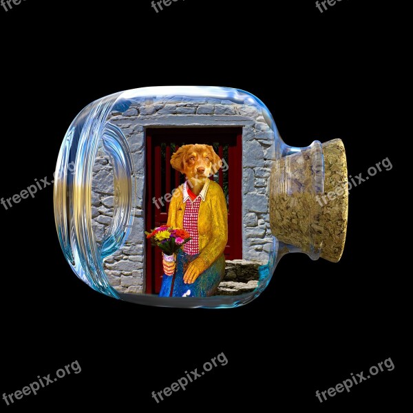 Composing Cheese Cover Art Glass Free Photos