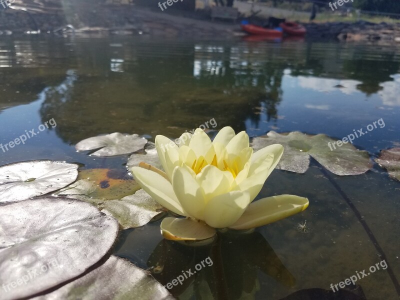 Pool Water Lake Nature Reflection