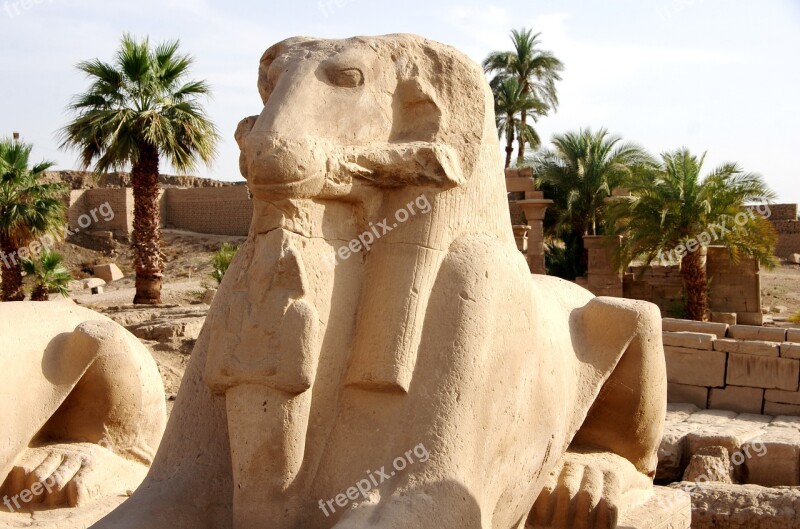 Egypt Karnak Temple Luxor Rams