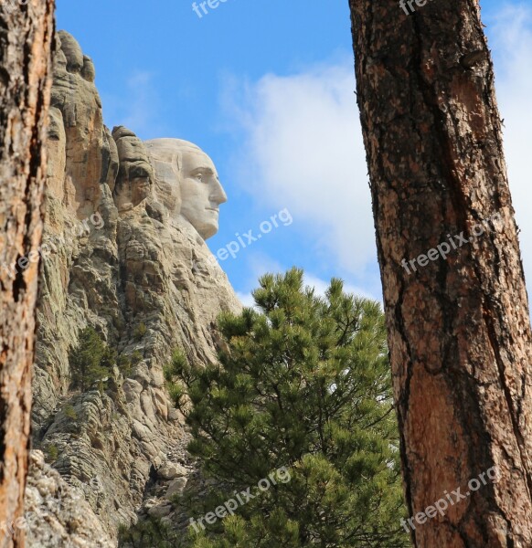 George Washington Mount Rushmore Profile Nature Tree