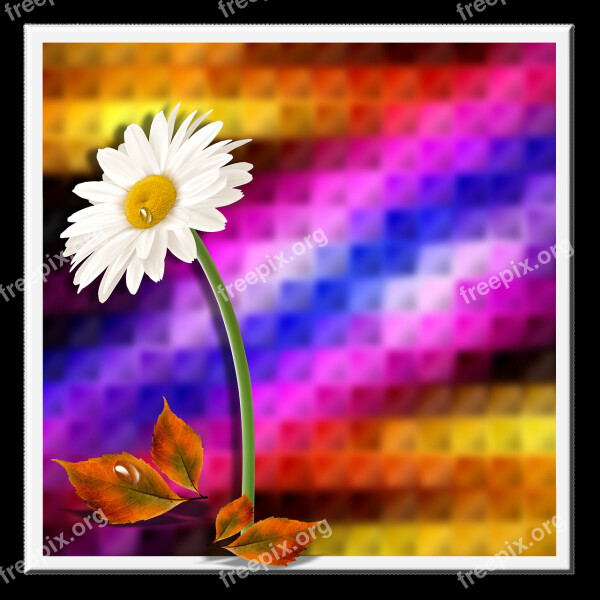 Background Flower Leaves Flowers Reason