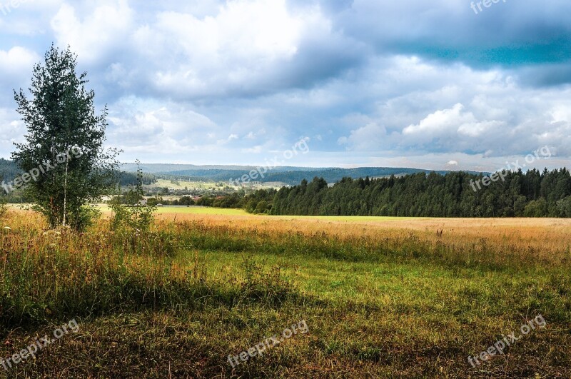 Panoramic Landscape Nature Field Grass