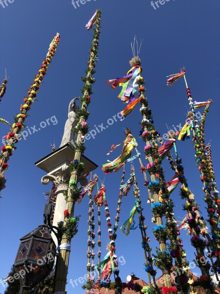 Sky At The Court Of Tree Palm Sunday Free Photos