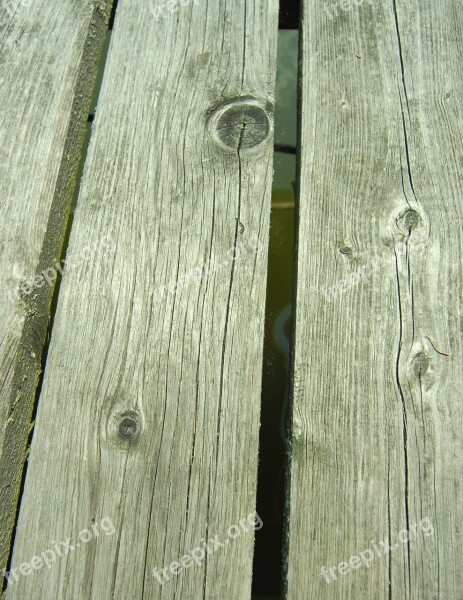 Wooden Web Log Texture Old