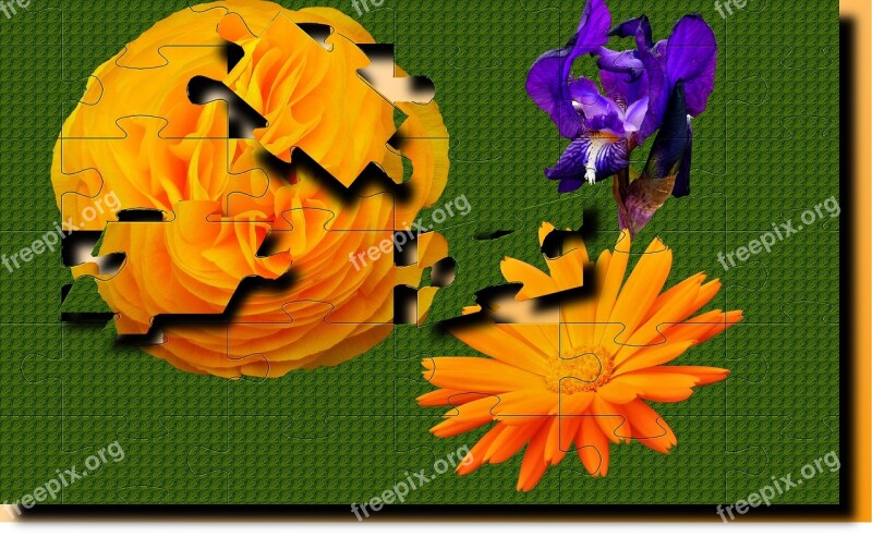 Flower Puzzle Color Wallpaper Geometry