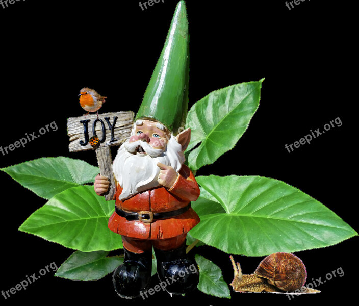 Gnome Garden Plant Statue Free Photos