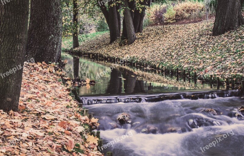 Nature Monolithic Part Of The Waters At The Court Of Autumn Tree