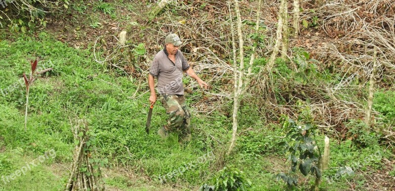 Nature Plant Outdoors Peasant Worker