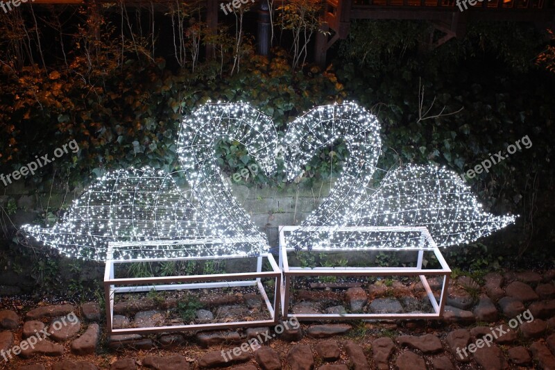 Love Swan Hart Night View Lighting