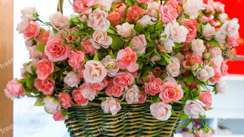 Bouquet De Fleurs Rose Flowers Congratulations Floral