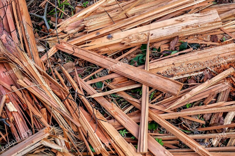 Wood Chop Wood Woods Industry Nature