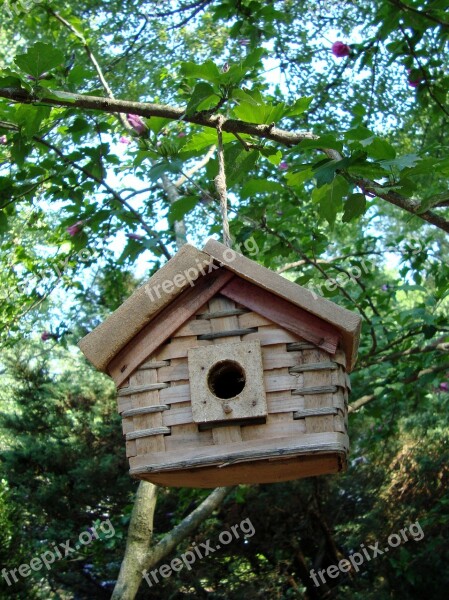 Birdhouse Wood Tree Wooden Nest