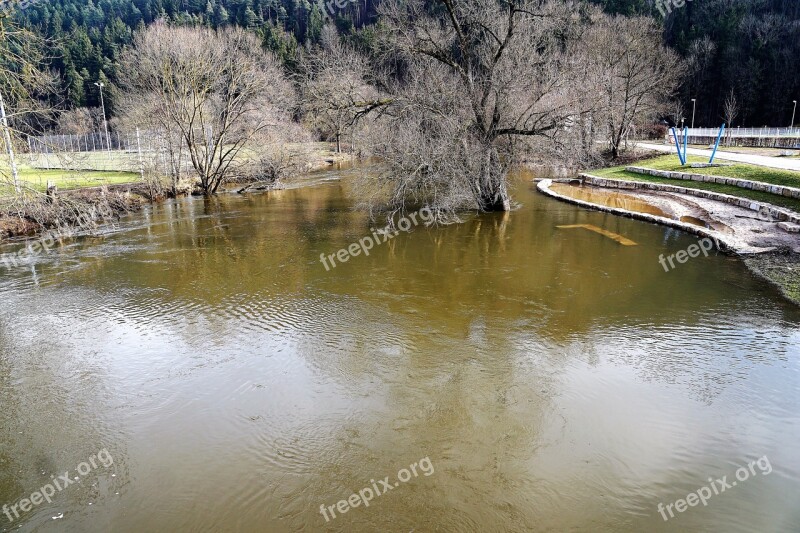 Waters River Nature Landscape Tree