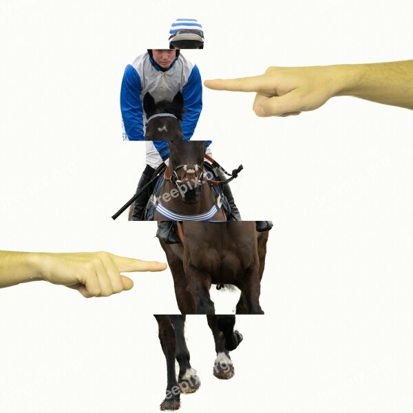 Horse Race Equestrian Jockey Thoroughbred