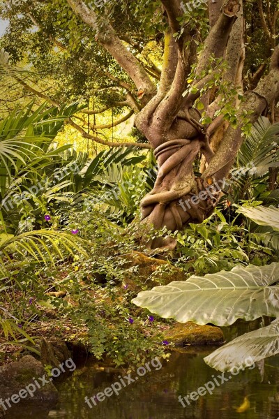 Jungle Tree Flora Leaf Bound