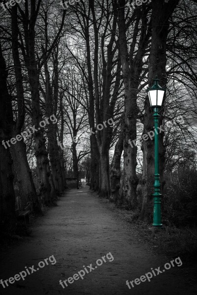 Lantern Twilight Lighting Away Avenue