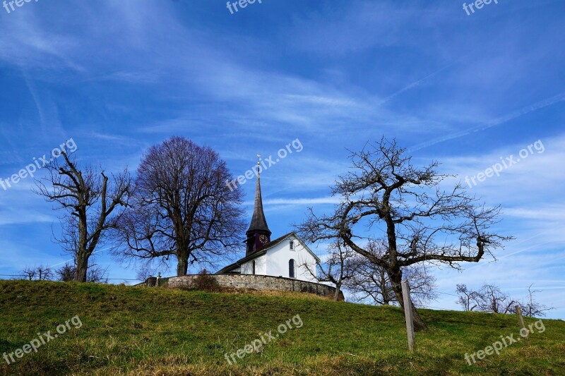 Tree Landscape Grass Sky Nature