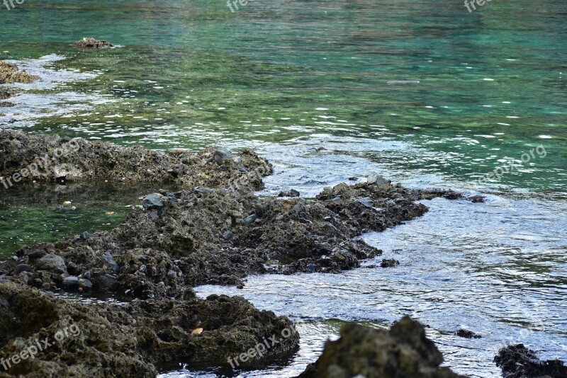 Seashore Rocky Beach Rock Sea Water Nature