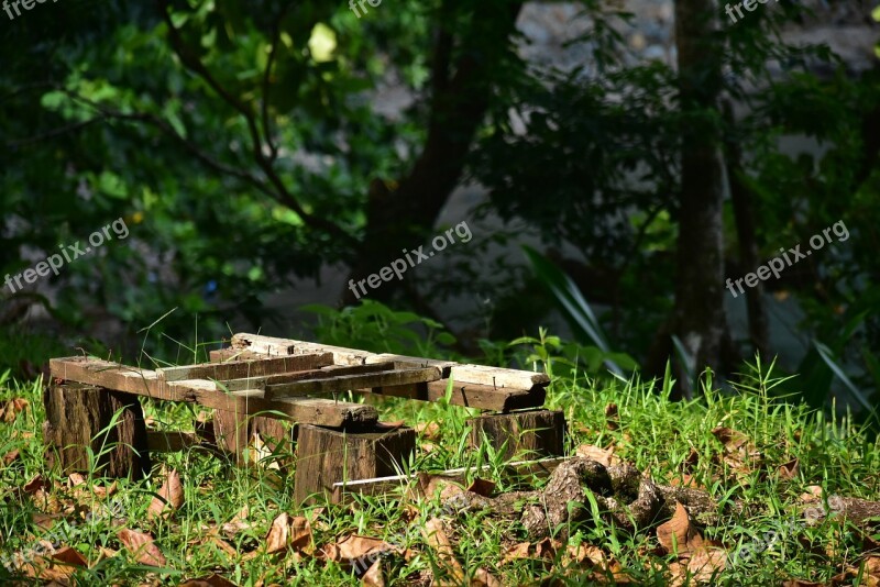 Wood Forest Dry Leaves Logs Lodge