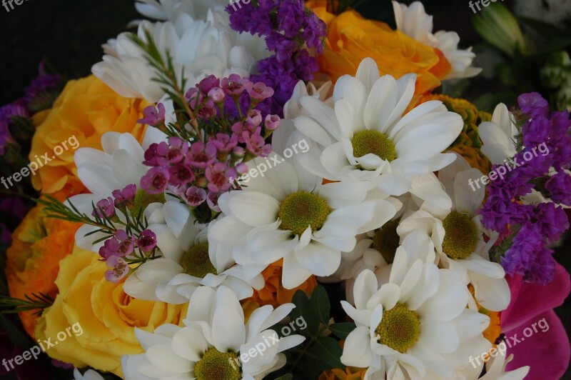 Flower Floral Nature Color Bouquet De Fleurs