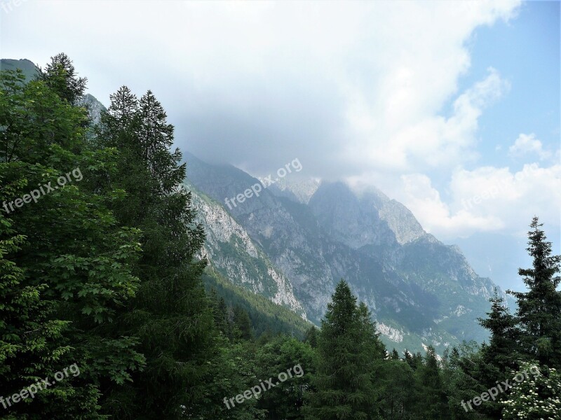 Nature Wood Mountain Tree Landscape