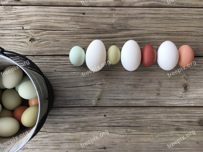 Egg Easter Wooden Wood Chicken