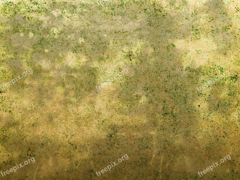 Background Texture Pattern Structure Rustic