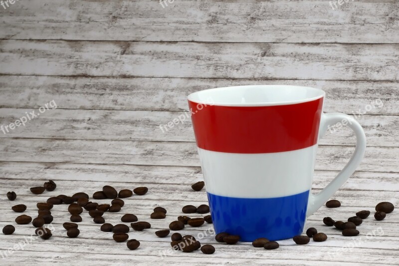 Coffee Coffee Beans Coffee Cup Netherlands Holland