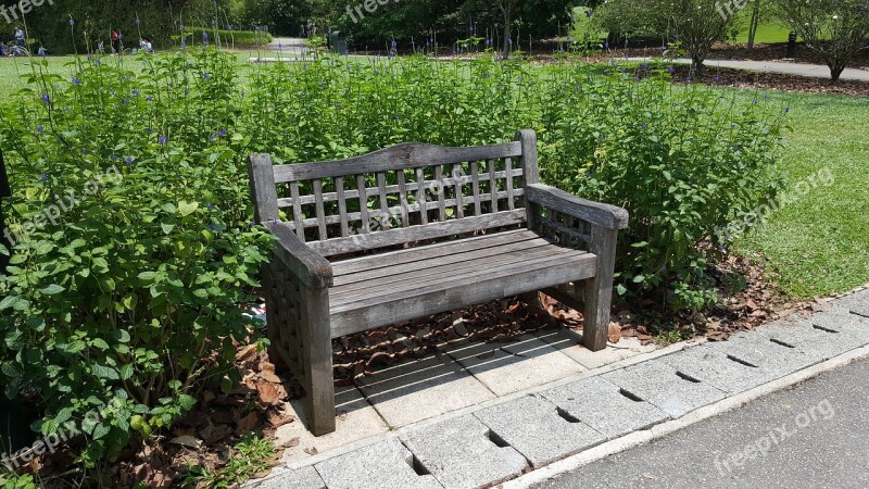 Bench Garden Nature Summer Seat