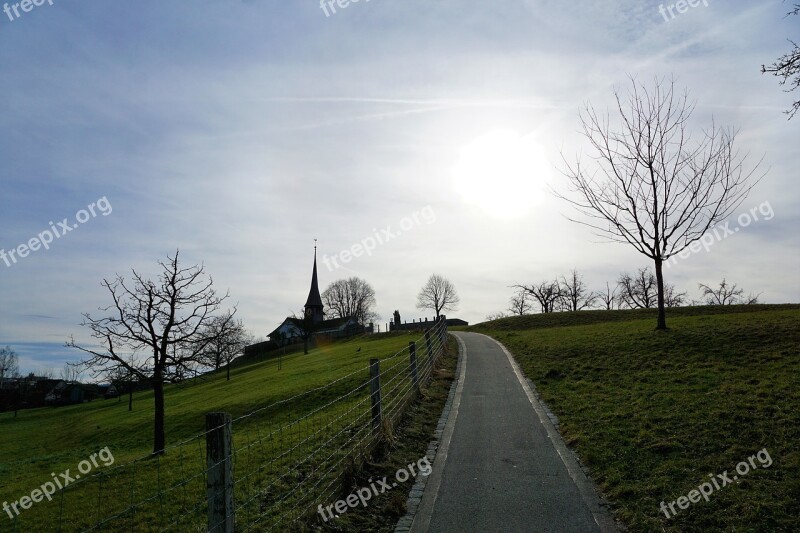 Grass Landscape Tree Nature Sky