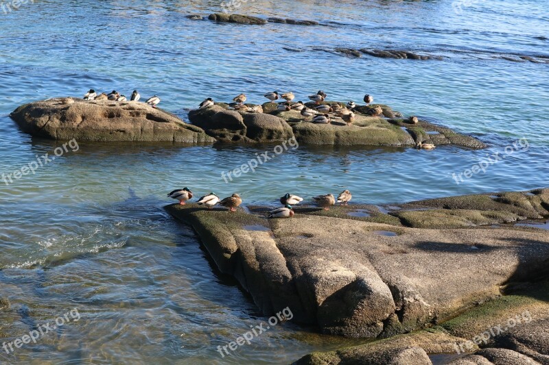 The Body Of Water Sea Coast Ocean Free Photos