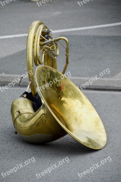 Orchestra Music Instrument Horns Harmony